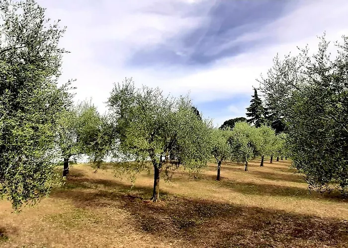 Room&breakfast La Gramadora Гостевой дом 3*